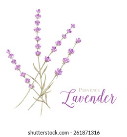 Label with lavender flowers and damask frame. Vector illustration.