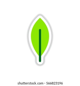 Label with leaf shadow vector icon design collection tree leaf
