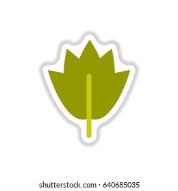 Label with leaf shadow vector icon design collection tree leaf