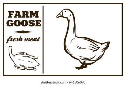 Label of meat products. Goose. Poultry meat