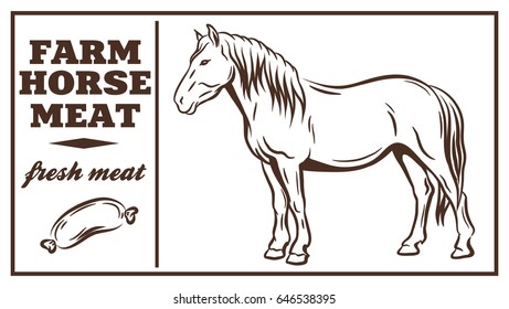 Label of meat products. Horsemeat