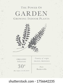 Label of Natural organic herbal products. Maidenhair fern, adiantum. Vintage packaging design collection for Cosmetics, Pharmacy, healthy food, Indoor plants. Leaves and stems, real herbarium