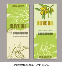 label olive oil, vector illustration banner, cover, broshure, hand-drawn branch olives