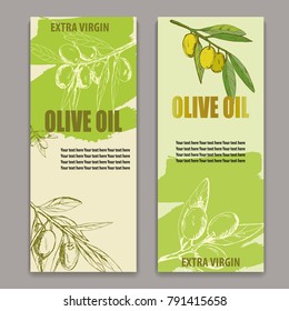 label olive oil, vector illustration banner, cover, broshure, hand-drawn branch olives