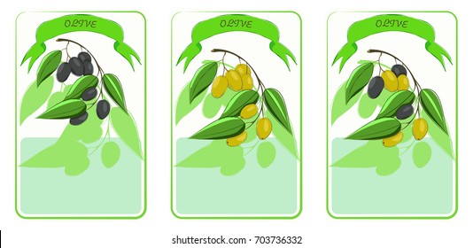 Label for olives, hand drawn templates for olives packaging. Green design, sketch for olive series green, black, mix olives, natural cosmetics, health care products, with place for text. Vector EPS10.