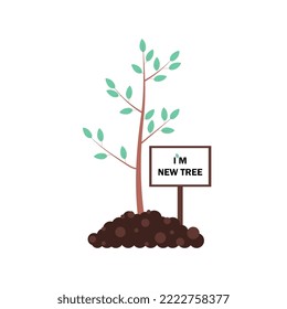 Label on a planted tree. The concept of planting new trees