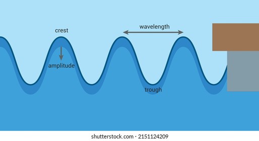 Label the parts of a transverse wave. Crest, trough, wavelength and amplitude of the wave. The anatomy of a wave vector illustration isolated on white background