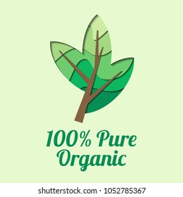 Label for Pure Organic Natural Producs. Vector Illustration. Decorative Paper Design Elements for Logo and  Background