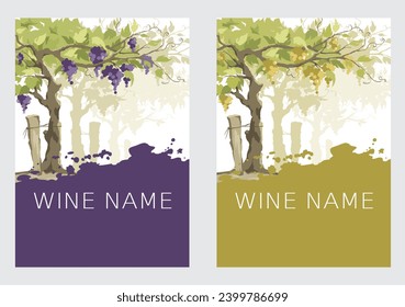 Label for red and white wine. Set of vector illustration, design with vineyard and splash fill.