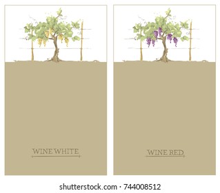 Label for red and white wine -- set / Vector illustration, floral design element, watercolor