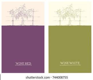 Label for red and white wine -- set / Vector illustration, floral design element