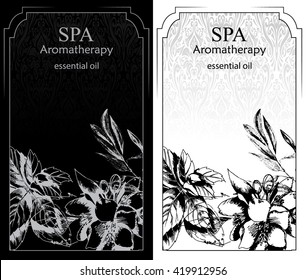 label for spa procedure with hand drawn herb and flowers in black and white  version