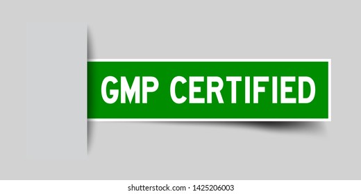 Label square green sticker in word GMP (Good manufacturing practice) certified that insert under gray background (vector)