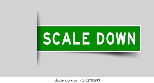 Label square green sticker in word scale down that insert under gray background (vector)