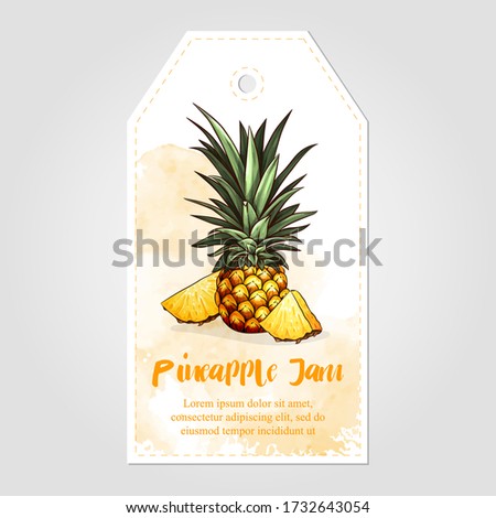 Label or sticker design with pineapple illustration. Homemade pineapple jam. For natural or organic fruit products and health care goods.