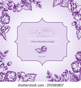 Label template with briar.
Hand drawn sketch used. Fonts: Liberation Serif, Great Vibes (free license).