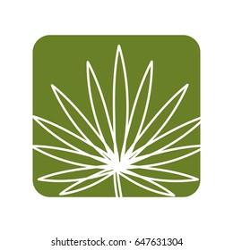 label tropical plant with leaves in the botanic forest