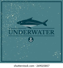 Label underwater fish, large shark with lettering design on blue background