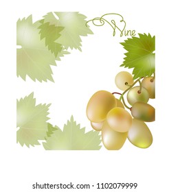 label for white vino.vector illustration