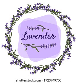 Etiqueta con las palabras Lavanda y flores. Flor. Banner Delicado, emblema, logotipo, ilustración, vector