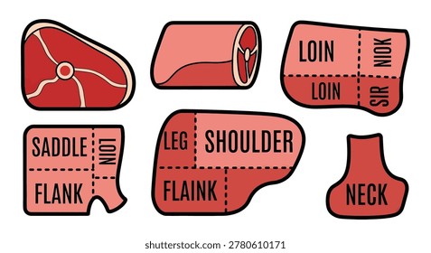 Labeled beef cuts diagram illustration meat