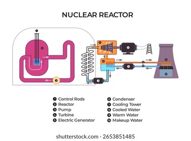labeled diagram illustrating the components and operational flow of a pressurized water nuclear power reactor from the core to the cooling tower for energy generation