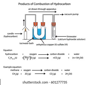 Labeled diagram showing the products of hydrocarbon combustion