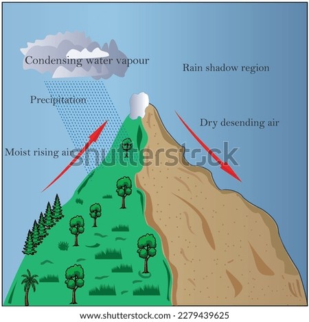 Labeled weather system movement schem. Educational diagram with windward and leeward side. Prevailing winds, precipitation and condensing water vapor phenomena.Orographic effect . rain shadow region.