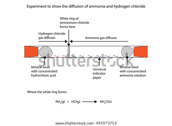 Labelled Diagram Show Diffusion Ammonia Hydrogen Stock Vector Royalty Free 495973753