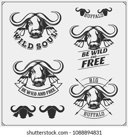 Labels, emblems and design elements for sport club with buffalo.