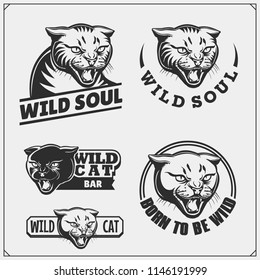 Labels, emblems and design elements for sport club with wild cat.