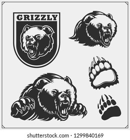 Labels, emblems and design elements for sport club with grizzly bear. Print design for t-shirts.