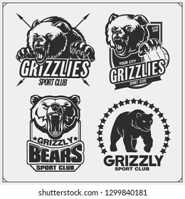 Labels, emblems and design elements for sport club with grizzly bear. Print design for t-shirts.
