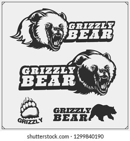 Labels, emblems and design elements for sport club with grizzly bear. Print design for t-shirts.