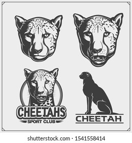 Labels, emblems and design elements for sport club with cheetahs. Print design for t-shirt.