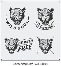 Labels, emblems and design elements for sport club with leopard.