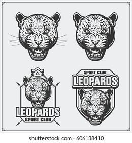 Labels, emblems and design elements for sport club with leopard.