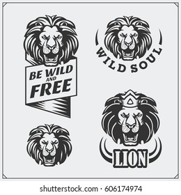 Labels, emblems and design elements for sport club with lion.