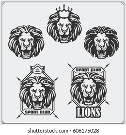 Labels, emblems and design elements for sport club with lion.
