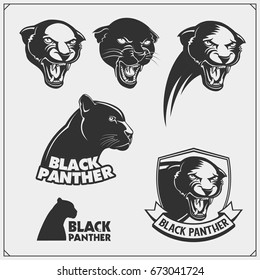 Labels, emblems and design elements for sport club with panther.