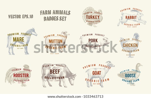 Etiketten Mit Nutztieren Legen Sie Vorlagen Stock Vektorgrafik Lizenzfrei