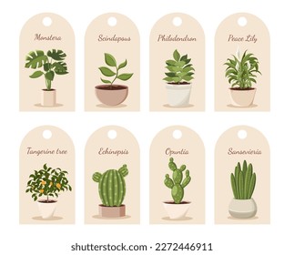 Labels with home plants in the eco style. Home decor and gardening concept. Flower shop. Sansevieria, tangerine, cactus, monstera, peace lily. Cute isolated vector illustration for product design.