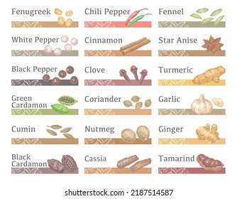 Labels and icons of spices. Watercolor. Vector illustration.	