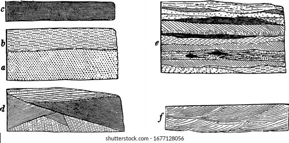 Labels represent: a, the massive; b, the shaly; c, the laminated; d, e, and f, the compound or irregularly bedded, vintage line drawing or engraving illustration.