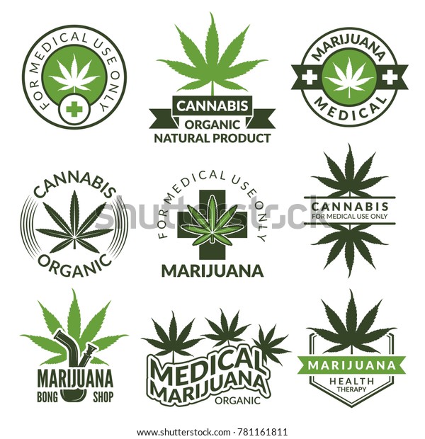 Labels Set Different Pictures Marijuana Plants Stock Vector (Royalty ...