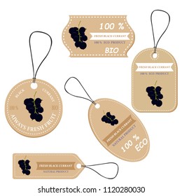 Labels with various fruits,for black currant  and inscriptions. Set templates price tags for shops and markets of organic vegetarian food. Vector illustration