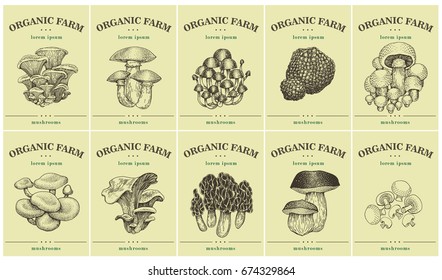 Labels with various Mushrooms. Set templates price tags for shops and markets of organic vegetarian food. Vector illustration art. Retro. Hand drawn nature objects.