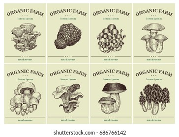 Labels with various Mushrooms. Set templates price tags for shops and markets of organic food. Vector illustration art. Vintage. Hand drawnf nature objects.