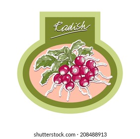 Labels for vegetable products, vector realistic hand-drawing radishes
