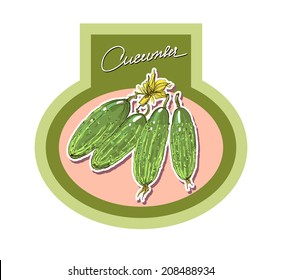 Labels for vegetable products, vector realistic hand-drawing vegetable